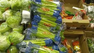 3 day Juice Fast