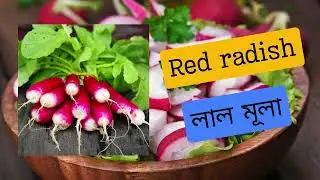 #vegetables | Speaking English | Spoken English | Daily English | Learning English | Future Tense