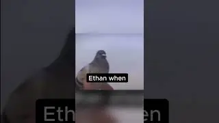 Just Tag Ethan