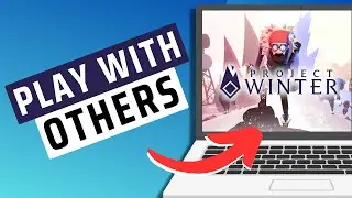How To Play Multiplayer On Project Winter- Full Guide