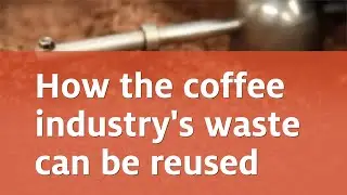 How the coffee industry's waste can be reused