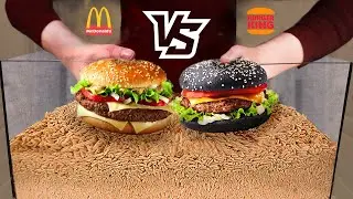 Burger Challenge -- Which burger will the maggots eat faster: MacDonald's VS Burger King?