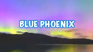 Joy’s Favorites: Blue Phoenix ~ Naive Joy