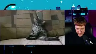 DK смотрит как Котёнок пукает и рыгает одно-временно // pxp night