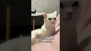 Бывает и такое) #мотодракоша