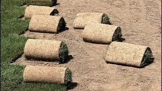 Укладка рулонного газона. Важные моменты, которые стоит учесть. #полезные советы.