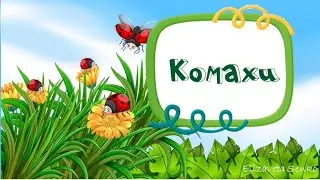 Заняття "Комахи"