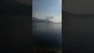 Собаки во Франции как в раю