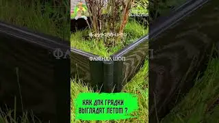 Как выглядит грядка дпк летом