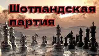 Шотландская партия ловушка Часть 2 #chess #ловушка #шахматы #шотландскаяпартия