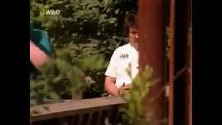 Ужас! Белый медведь напал на человека