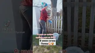 Сексуальный танец твёрк🍑🍑🫣🫣 #жопа #писюн #твёрк #танец #сиськи #сески #девушкакакает #девушкапердит