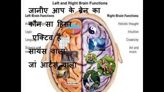 What do  you study Science or Arts जानीए आप के ब्रेन का कौन सा हिसा एक्टिव है....