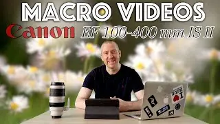 Telephoto lens for Macro?! | You'll be surprised! | Canon EF 100-400 IS II