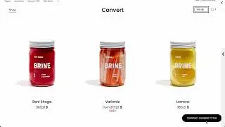 Currency Converter Plugin for Squarespace 7.1 (BETA LAUNCH!)
