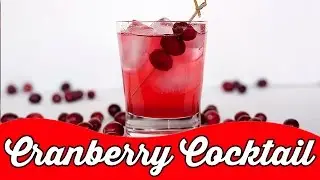 Cranberry Cocktail | Summer Special Cocktail