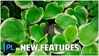 New features in DxO Photo Lab 8