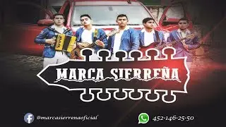Marca Sierreña - El aguacate