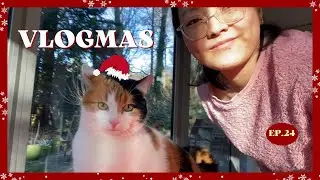 Vlogmas｜🎄荷蘭聖誕月日常｜和男友一起包水餃、吃豪華聖誕大餐