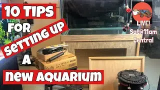 10 Tips for Setting Up or Redoing a Fish Tank? [Watch This First!] - Cichlids & Coffee Live Stream!