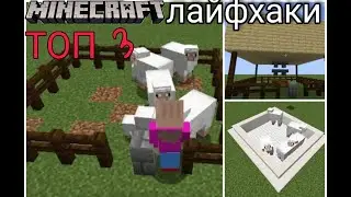 ТОП 3 ЛАЙФКАХА ДЛЯ МАЙНКРАФТЕРОВ-ФЕРМЕРОВ