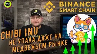 Chibi Inu один из первых, кто придумал рынок NFT для Doge NFT и мемов
