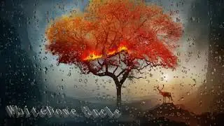 Hiss   Kəpənəklər feat  Jay Aliyev /*/  Kled Mone   Quimey Neuquén