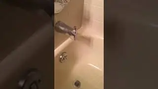 Upstairs shower