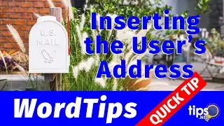Inserting the User's Address