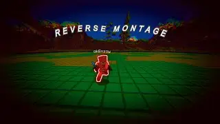 Reverse Montage