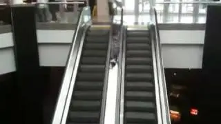 How to use a escalator