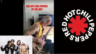 Red Hot Chili Peppers “By The Way” Bass cover