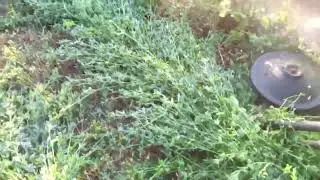 Мотоблок Нева с косилкой.