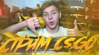 СТРИМ CS:GO/Залетай будет интересно/ДОБИВАЕМ 1к на КАНАЛЕ!