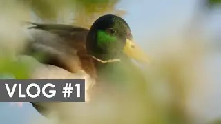 Irgendsowas wie ein 
