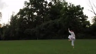 Kata in the Field