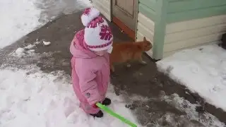Котяра пытается свалить Вику)