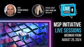 MSP INITIATIVE LIVE WITH MARY HAMITLON FROM MAD DATA IO