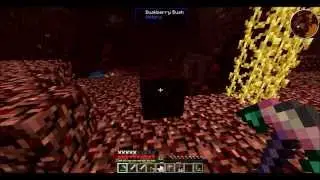 SolitaryCraft S1E5 Into the Nether!