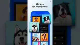 Мобильное приложение Облако Mail.ru