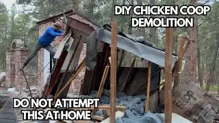 Do not attempt this at home! | One Man Demolition of a Chicken Coop