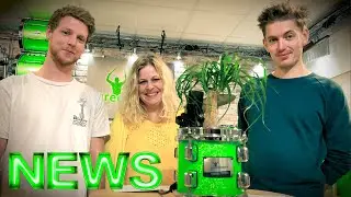 ANNOUNCEMENT // NEWS from greenbeats // back after a short break
