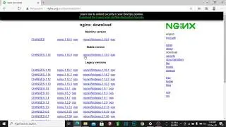 How to install Nginx in windows