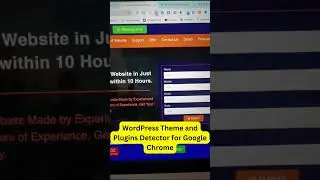 WordPress Theme and Plugins Detector for Google Chrome Extension