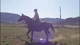 Like the only good clip from our ride (on my part obvi) #letshowdakota #equines