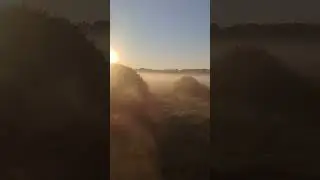 #video #AmatarTV #morning #красота #природа #туман #заславль #беларусь