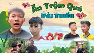 ĂN TRỘM QUẢ VẢI THIỀU | BƯỞI TV | Phim hài hước Bưởi TV