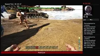 Ark fun