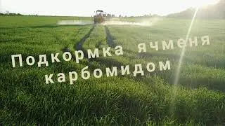 Подкормка ячменя карбомидом+гербицыд. 