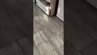I am ) #cat#catlover#catvideos